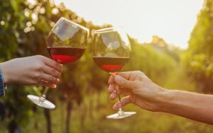 Vin rouge Bourgogne Passetoutgrain