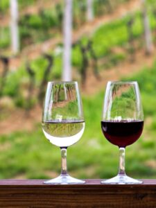 verre de vin blanc et de vin rouge de Bourgogne Epineuil