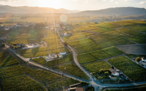 BEAUJOLAIS-VILLAGES vignobles