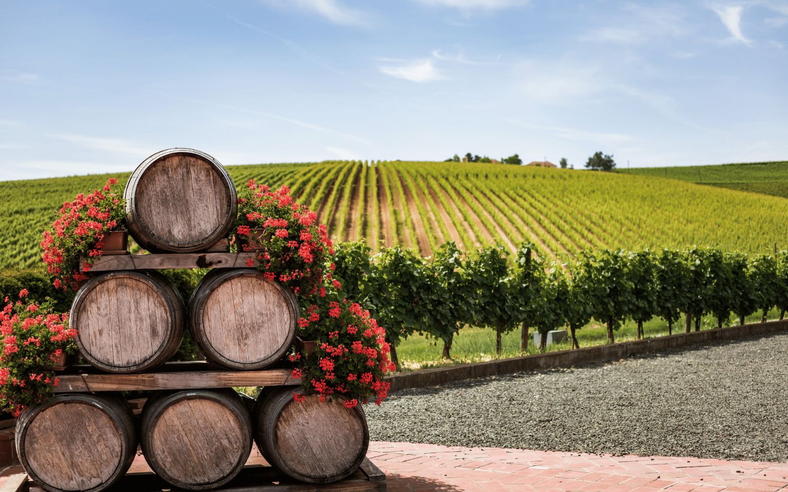 Bordeaux Supérieur vignobles et barilles
