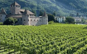 Bourgogne Claret vignobles