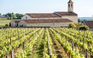 MÉDOC Vignobles