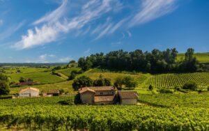 PESSAC LEOGNAN Vignobles