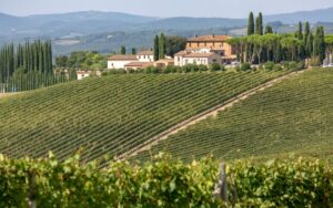 Vignobles de Bourgogne Côte Chalonnaise