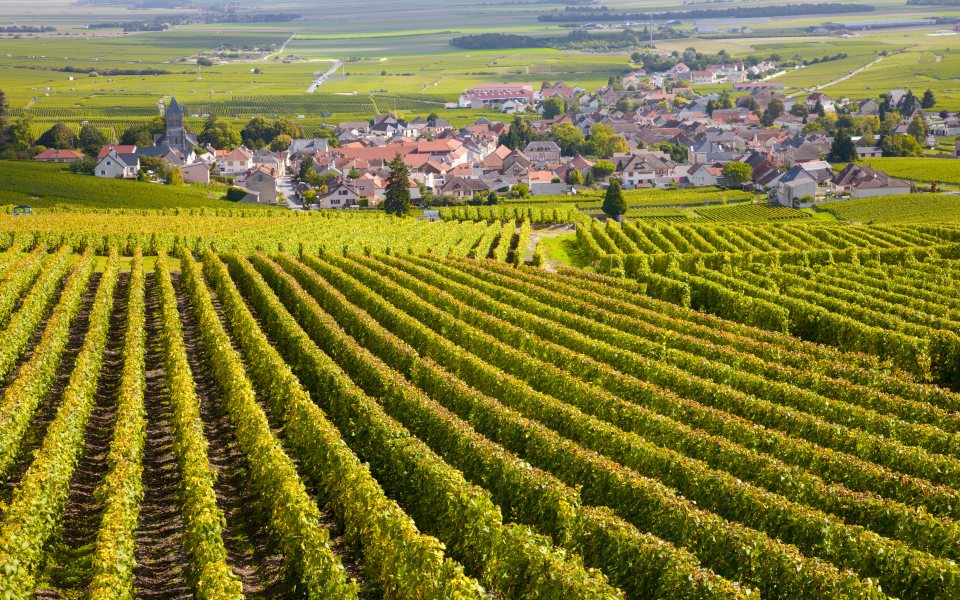 Vignobles de Bourgogne Côtes d'Auxerre