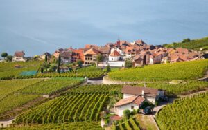 vignobles Côte de Beaune Villages