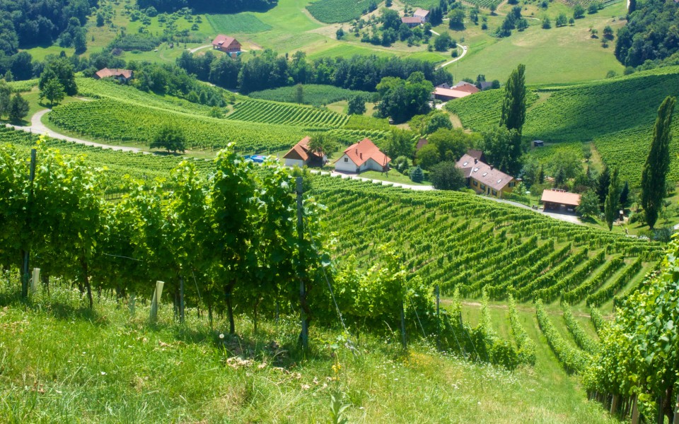 vignobles Côte de Nuits-Villages