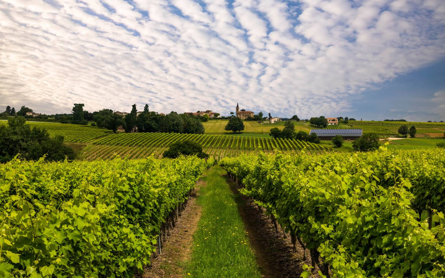 vignobles de Bourgogne Mousseux