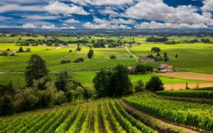 vignobles de Chambertin-Clos de Bèz
